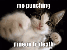 Dineon Cat GIF - Dineon Cat Cat Punching GIFs