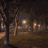 a blurry picture of a park at night with trees and lights