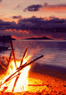 pretty ambient bonfire beach sunset