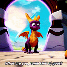 Spyro What Are You GIF - Spyro What Are You Some Kind Of Goat GIFs