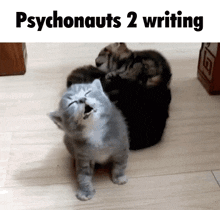 three kittens are playing on a wooden floor with the words psychonauts 2 writing above them