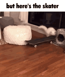 but heres the skater cat