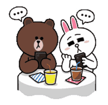 brown cony line brown and cony cony and brown