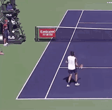Taylor Fritz Out Ball GIF