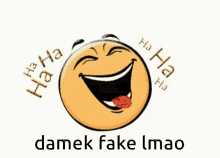 Damek Fake GIF - Damek Fake Fake Girl GIFs