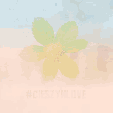 Cieszyn Cieszynlove GIF - Cieszyn Cieszynlove Flower GIFs