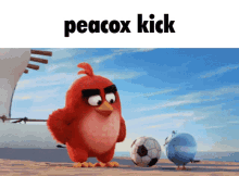 Peacox Peacox Kick GIF - Peacox Peacox Kick Angry Birds GIFs