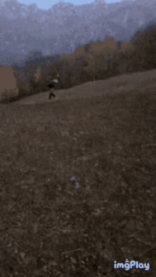 a bird is flying over a grassy field with mountains in the background ..