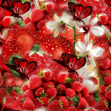 Gina101 Strawberries GIF - Gina101 Strawberries Butterflies GIFs