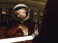 a pig wearing a helmet holds a glass