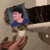 a cat with a picture of a smiling man on its head