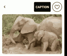 Stuck In The Mud Family Time GIF - Stuck In The Mud Family Time Elephant GIFs