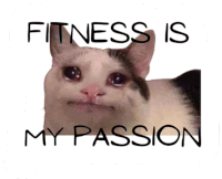 Fitnessismypassion Sticker
