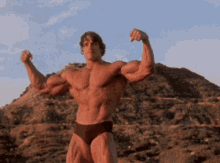 Pumping Iron Arnold Schwarzenegger GIF