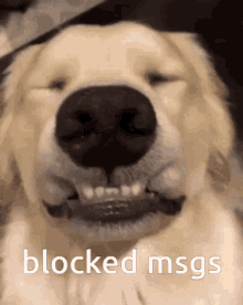 Blocked Message GIF - Blocked Message GIFs