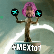 mexto1 multiversx mvx mex to 1 xportal