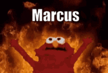 Marcus Elmo GIF - Marcus Elmo Abcdac GIFs