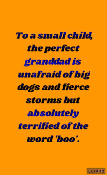 an orange background with blue text that says to a small child