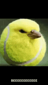 a yellow tennis ball with a bird shaped head