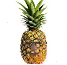 Ethan Pineapple GIF