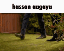 Hassan Aagaya Hassan GIF - Hassan Aagaya Hassan GIFs
