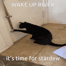 a black cat is trying to open a door with the words wake up river it 's time for stardew