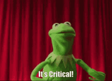 Critical Kermit GIF - Critical Kermit Panic GIFs