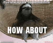 a picture of a sloth laying in a hammock with the caption " how about "