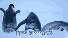 Friday Its Friday GIF - Friday Its Friday Weekend GIFs