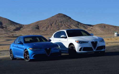 Giulia GIF - Giulia - Discover & Share GIFs