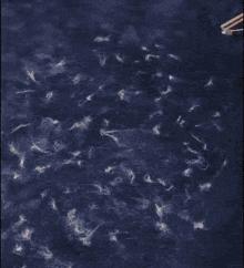 a person is using a lint roller to remove lint from a black coat .