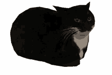 Dingus Cat GIF - Dingus Cat GIFs