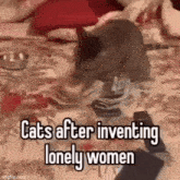 Hoecat Cat GIF - Hoecat Cat Lonely GIFs
