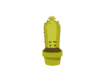 shy cactus