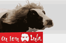 Lula Luiz GIF