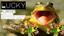 Flowers Frog GIF - Flowers Frog GIFs
