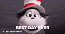 a cat in a hat with the words best day ever on the bottom