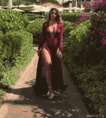 Passion Lovely GIF - Passion Lovely Lady GIFs