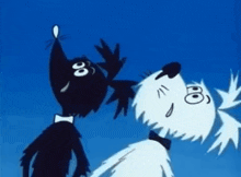 a black cat and a white dog are standing next to each other on a blue background