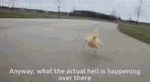 Duck World Kin World GIF - Duck World Kin World Bubberducky World GIFs