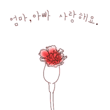 카네이션 어버이날 꽃 분홍 엄마 아빠 사랑해요 GIF - Carnation Flower Clove Pink GIFs