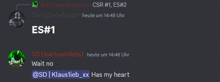 a screenshot of a discord conversation between two people