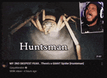 a video of a giant spider with the name huntsman on it