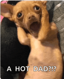 a picture of a dog with a caption that says a hot dad ?
