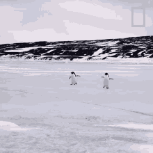 Were Coming National Geographic GIF