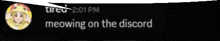 a screenshot of a discord conversation between a girl and a cat