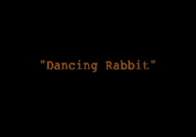 Dancing Rabbit GIF - Rabbit GIFs