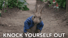 knock yourself out you do you kids smile peter rabbit