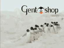 Gentooshop Yousefiw GIF