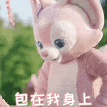 a pink stuffed animal with chinese writing on the bottom